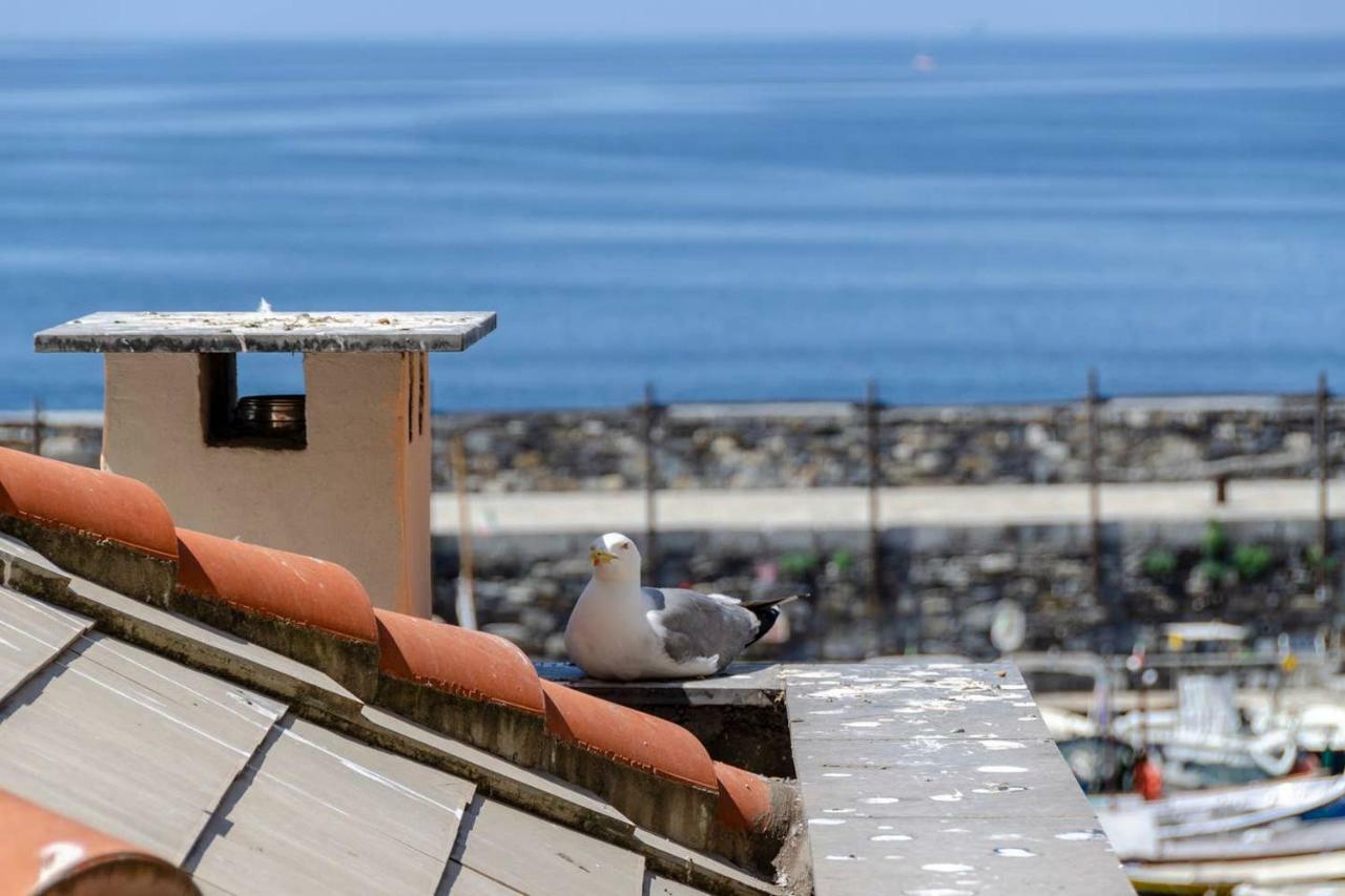 Joivy Charm 1 Bed Apt Overlooking Port Of Camogli Apartment Екстериор снимка